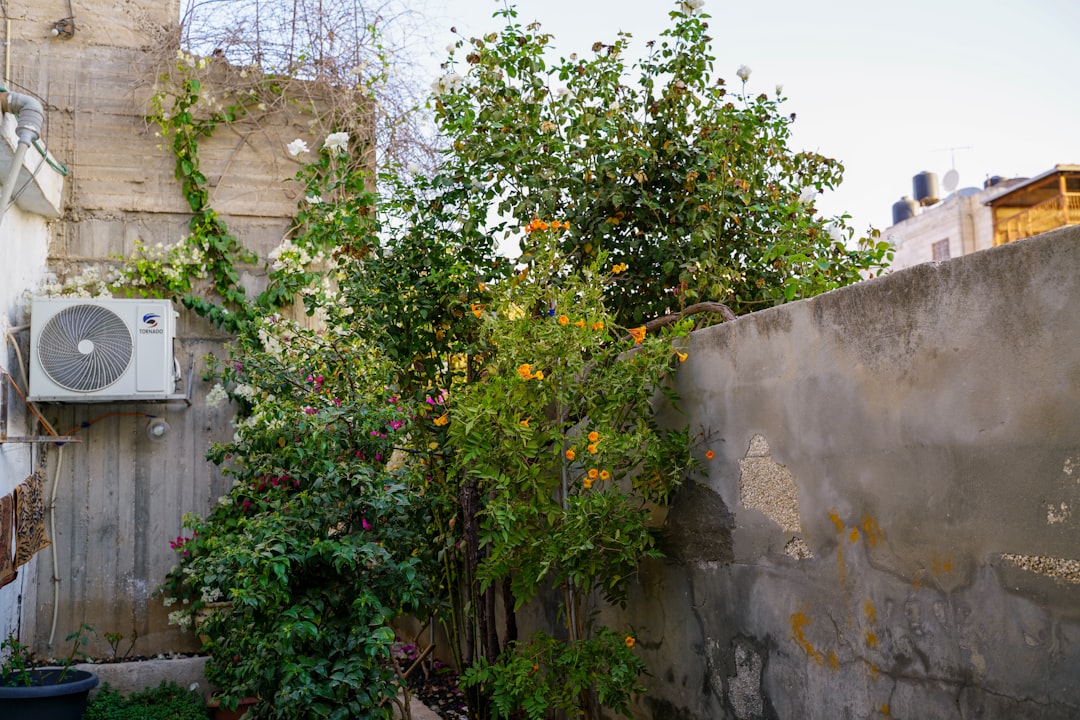 HVAC Blog 5 spring ac and hvac maintenance