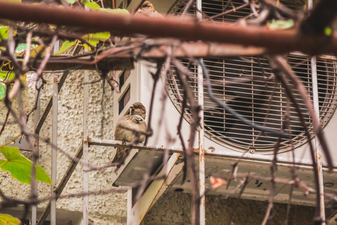 HVAC Blog 5 spring ac and hvac maintenance for northern new jersey